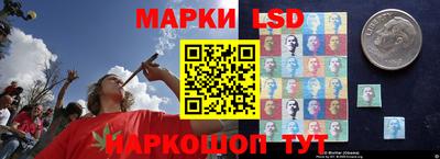 ПСИЛОЦИБИНОВЫЕ ГРИБЫ Малгобек